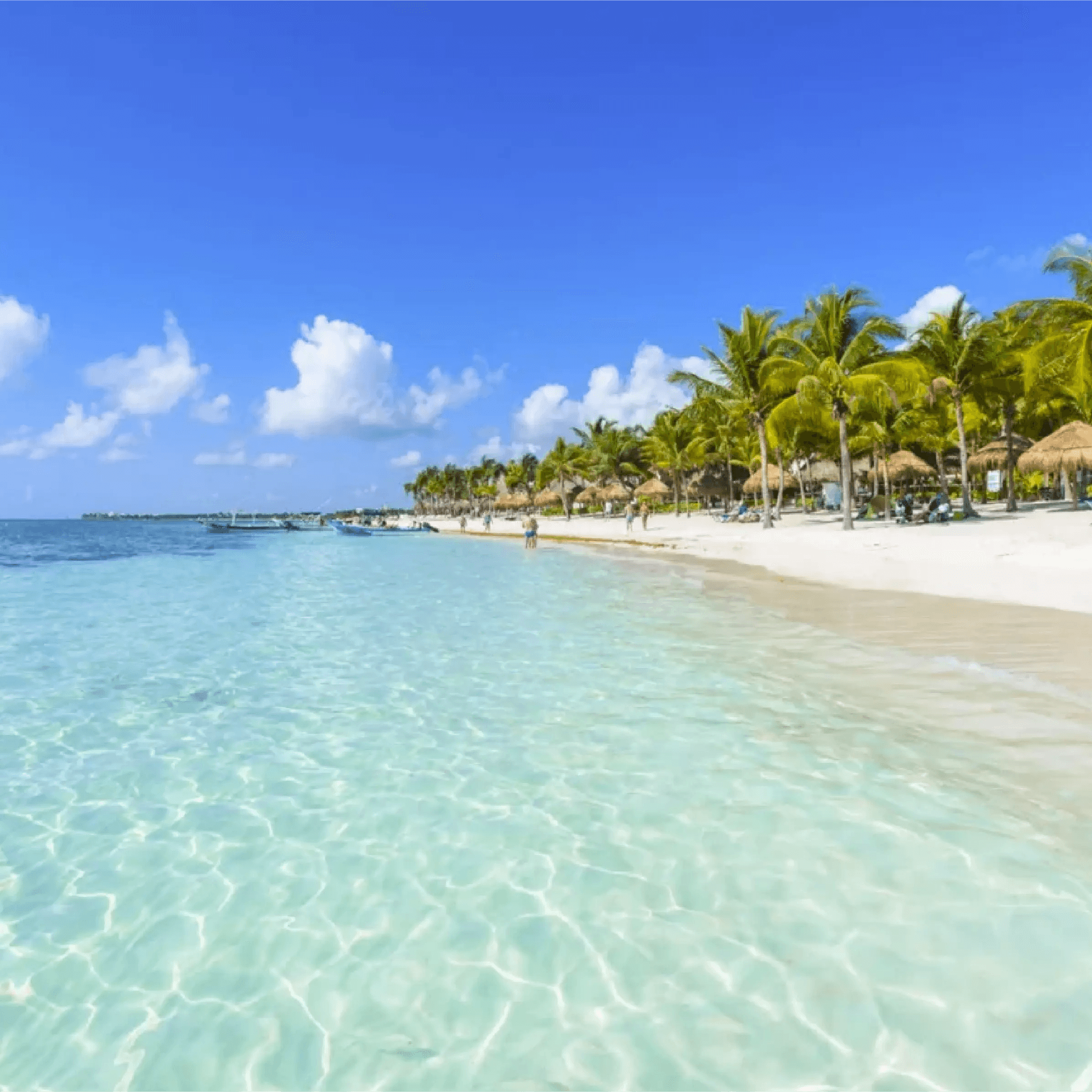 TURTLE BAY AND TRANQUIL DAYS