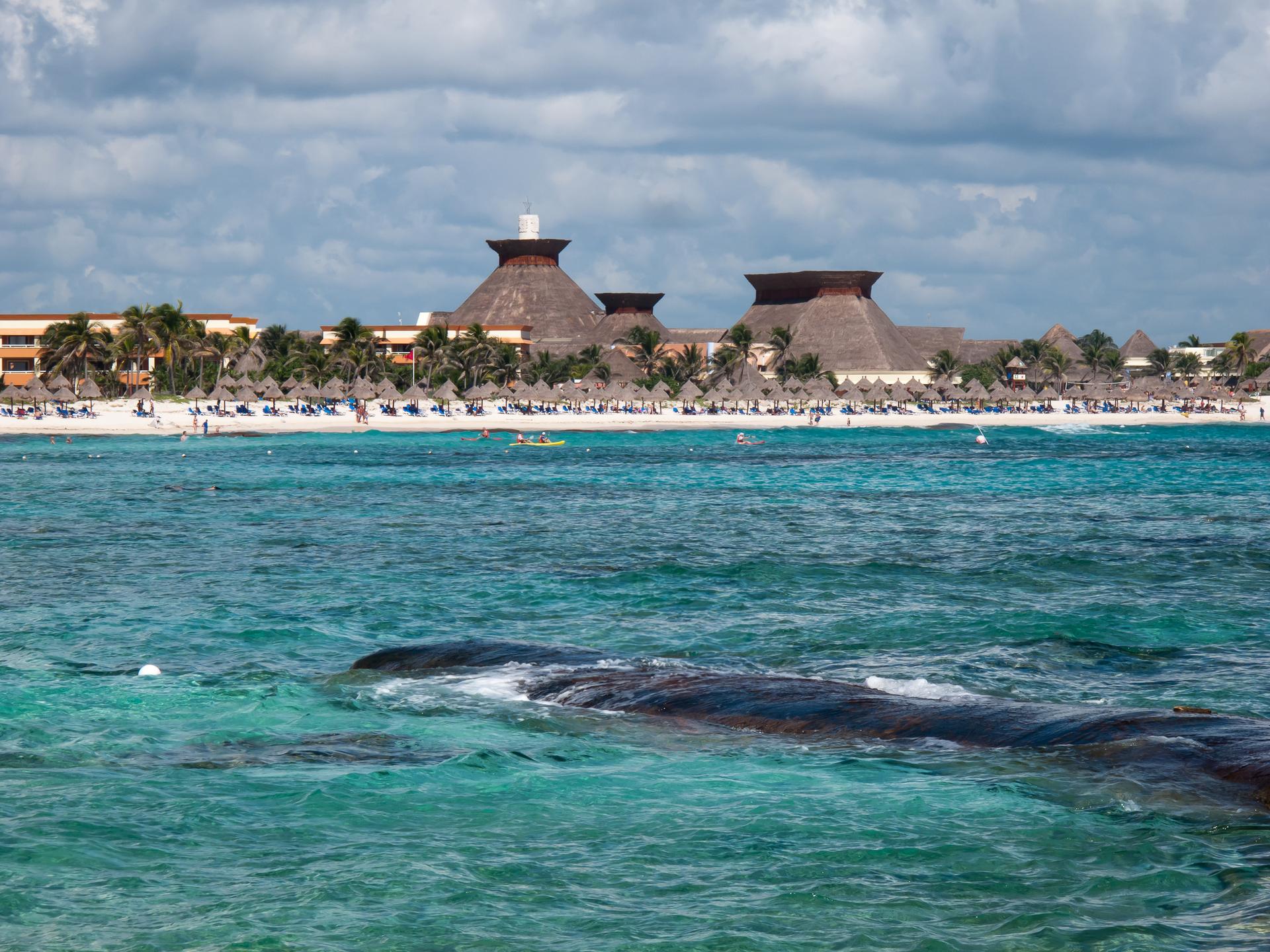 NATURE’S EMBRACE, OCEAN’S TOUCH