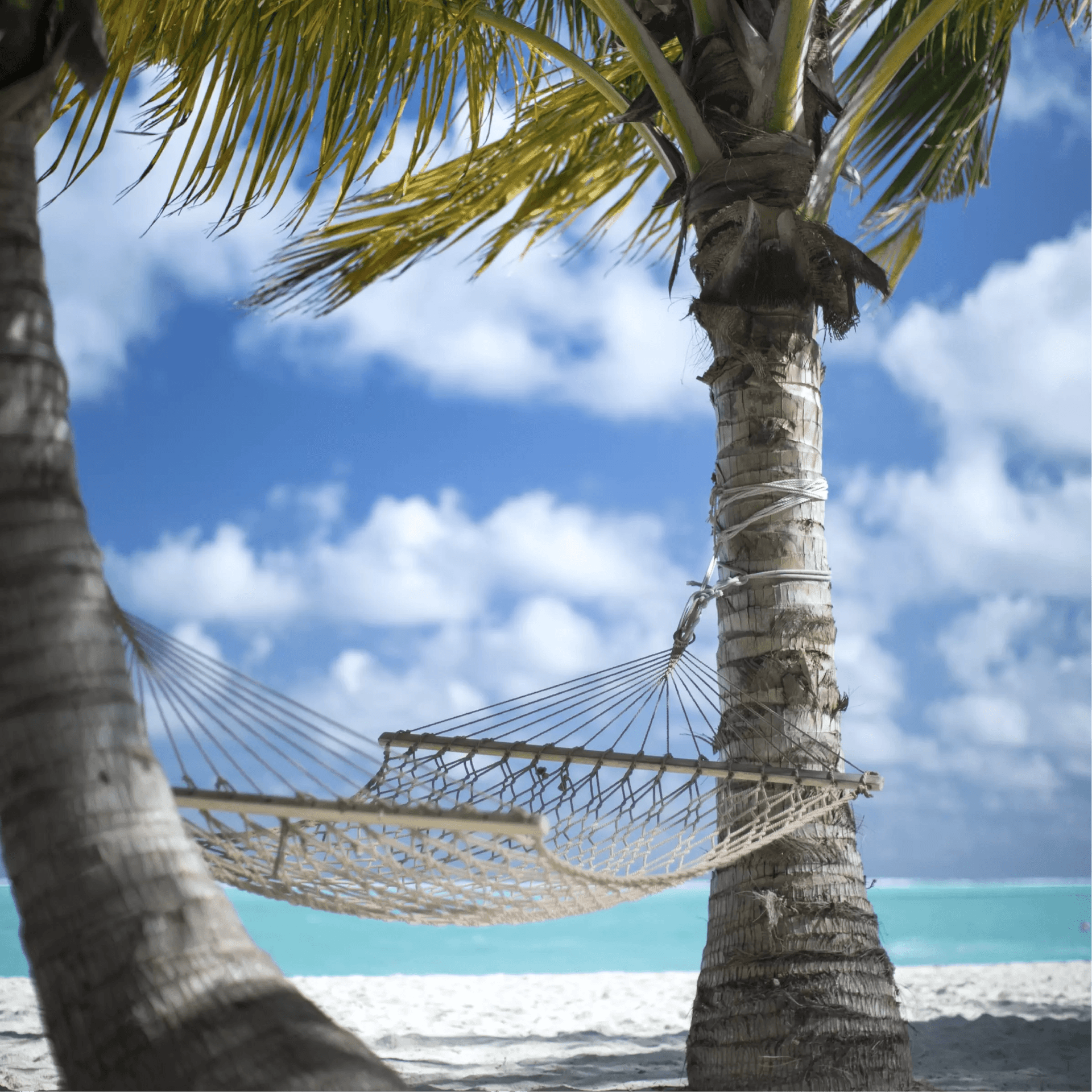 COLOR, CULTURE, AND CARIBBEAN SOUL
