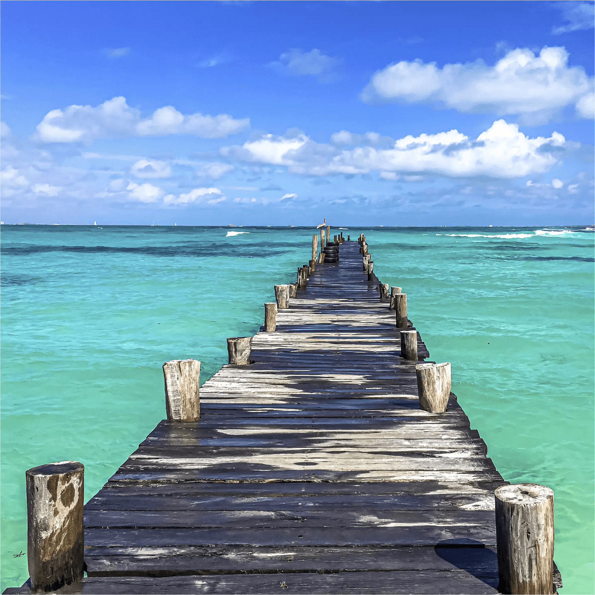 THE CALM BETWEEN THE WAVES